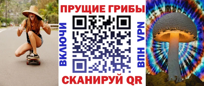 МЕГА ТОР  Жуковка  Псилоцибиновые грибы мицелий 